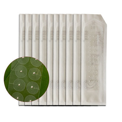 Fonction de massage Appareil de médecine chinoise Graines d'oreille Kit d'acupuncture pour la perte de poids Graines de perles