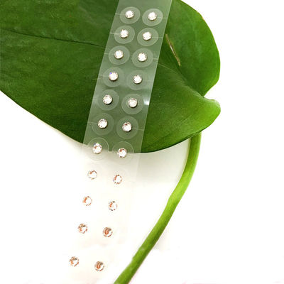 Fonction de massage Appareil de médecine chinoise Graines d'oreille Kit d'acupuncture pour la perte de poids Graines de perles