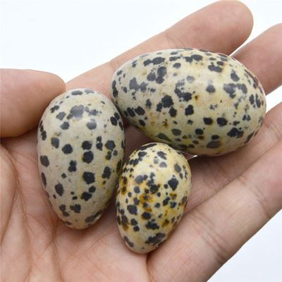 Des œufs de jaspe de Dalmatie pour femmes 3 tailles des œufs de jade vibrant