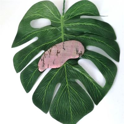Massage pour la santé du corps Essentiel Rhodochrosite naturel Gua Sha Scraping Massager pour la fonction de soins de santé