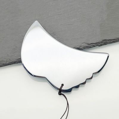 Plaque de beauté en argent Terahertz, outil de massage pour une expérience luxueuse et rajeunissante