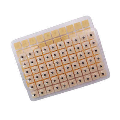 Aiguilles d'acupuncture Massage fonctionnel 600 pièces/boîte Des graines jetables de presses d'oreille