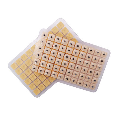 Aiguilles d'acupuncture Massage fonctionnel 600 pièces/boîte Des graines jetables de presses d'oreille