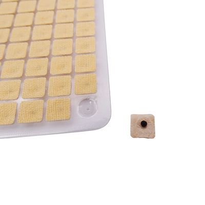Aiguilles d'acupuncture Massage fonctionnel 600 pièces/boîte Des graines jetables de presses d'oreille